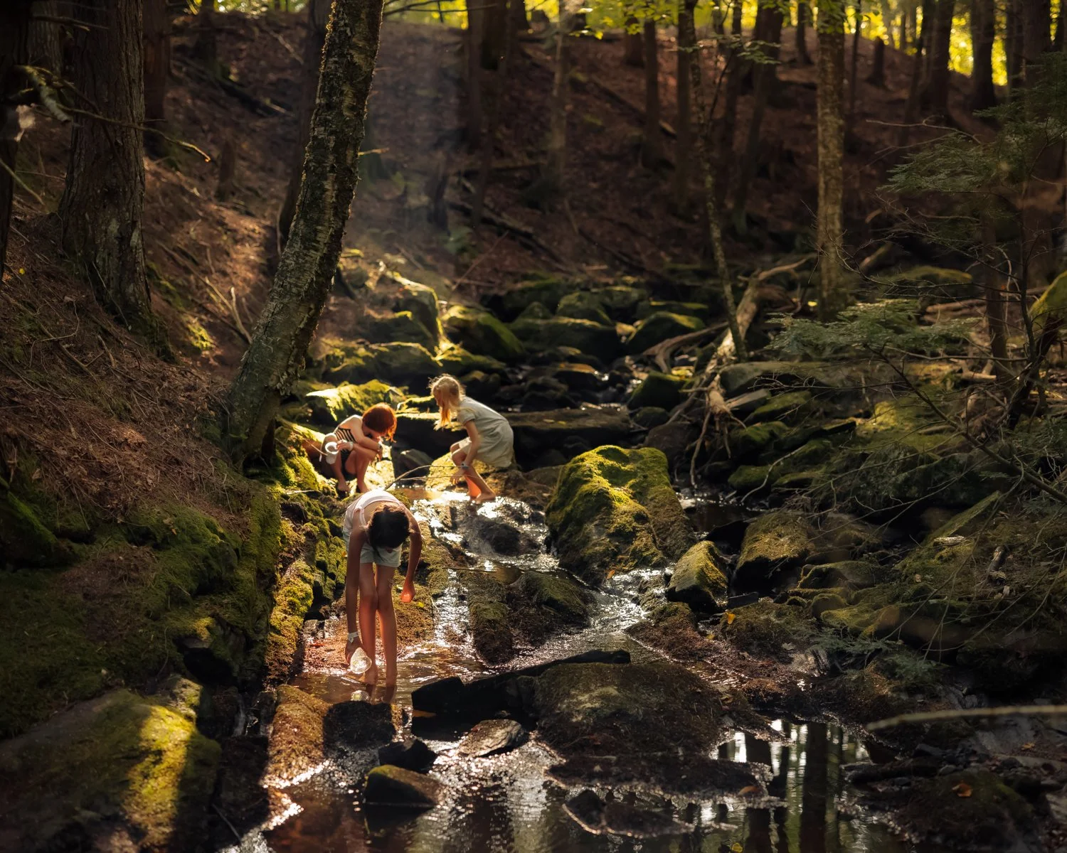 Children playing and exploring in a shallow forest stream surrounded by mossy rocks and tall trees.