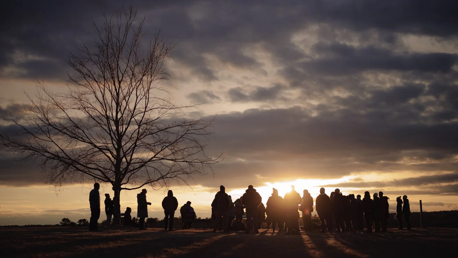Group of people gathered outdoors at sunset with a leafless tree and cloudy sky in the background