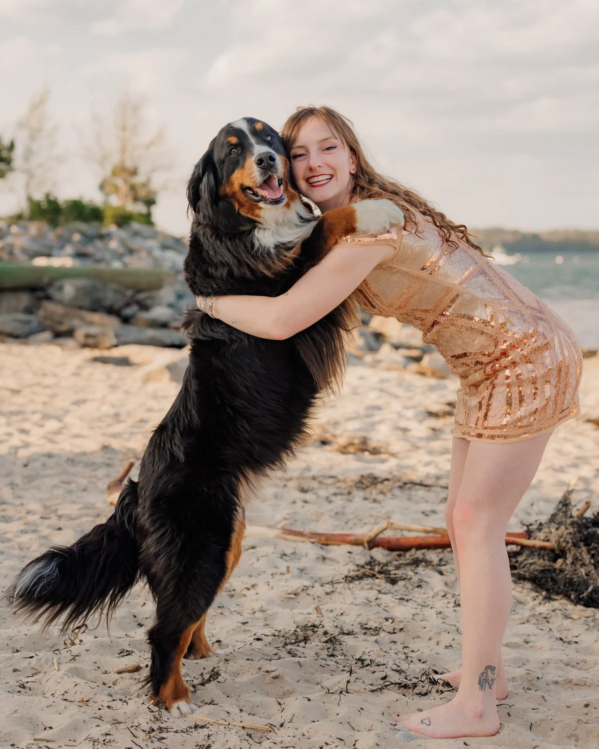 A smiling young woman in a gold sequin dress hugging a large Bernese Mountain Dog on a sandy beach with rocks and trees in the background.