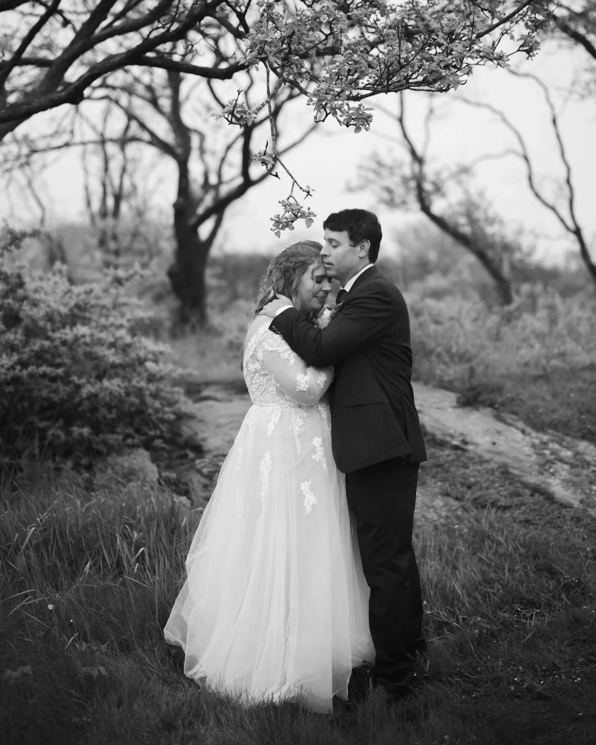 A black and white photo of a bride and groom embracing outdoors under a tree with blooming branches, on a grassy path.