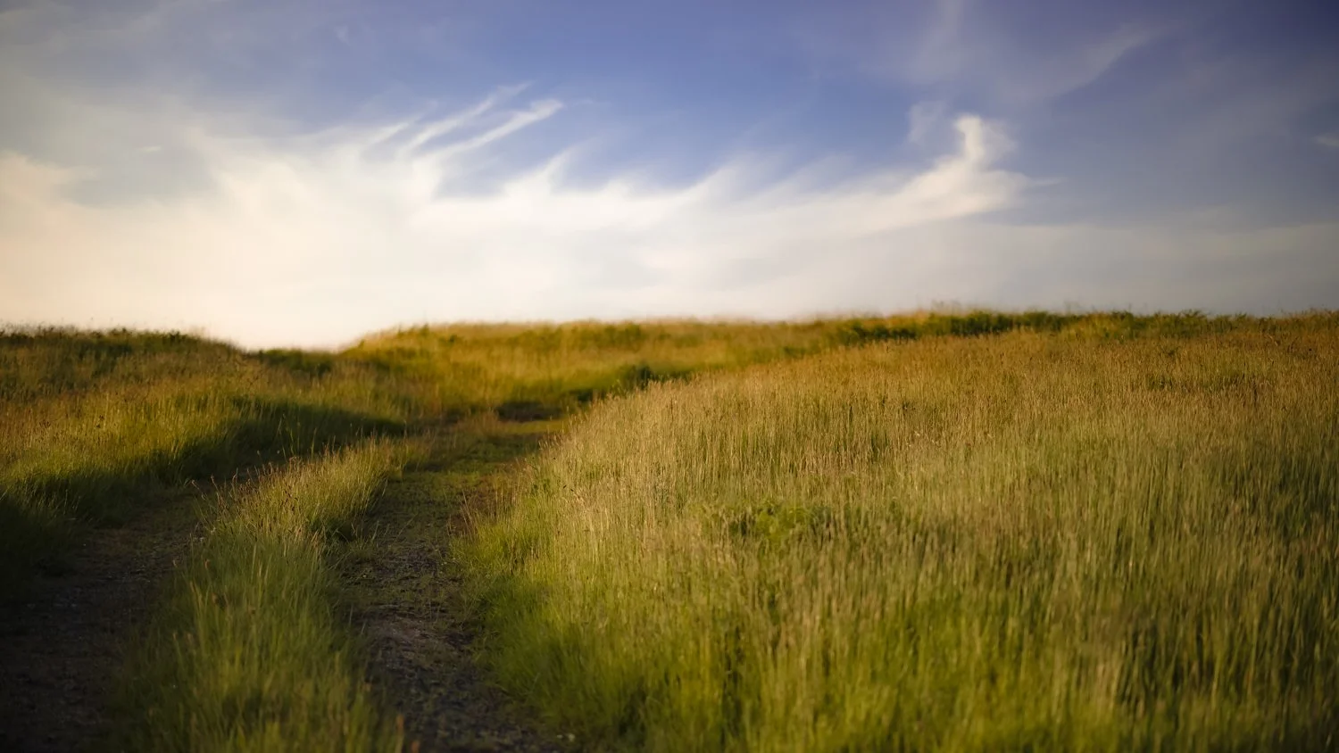 A grassy dirt trail running through a green field with tall grass, under a partly cloudy sky with some wispy clouds.