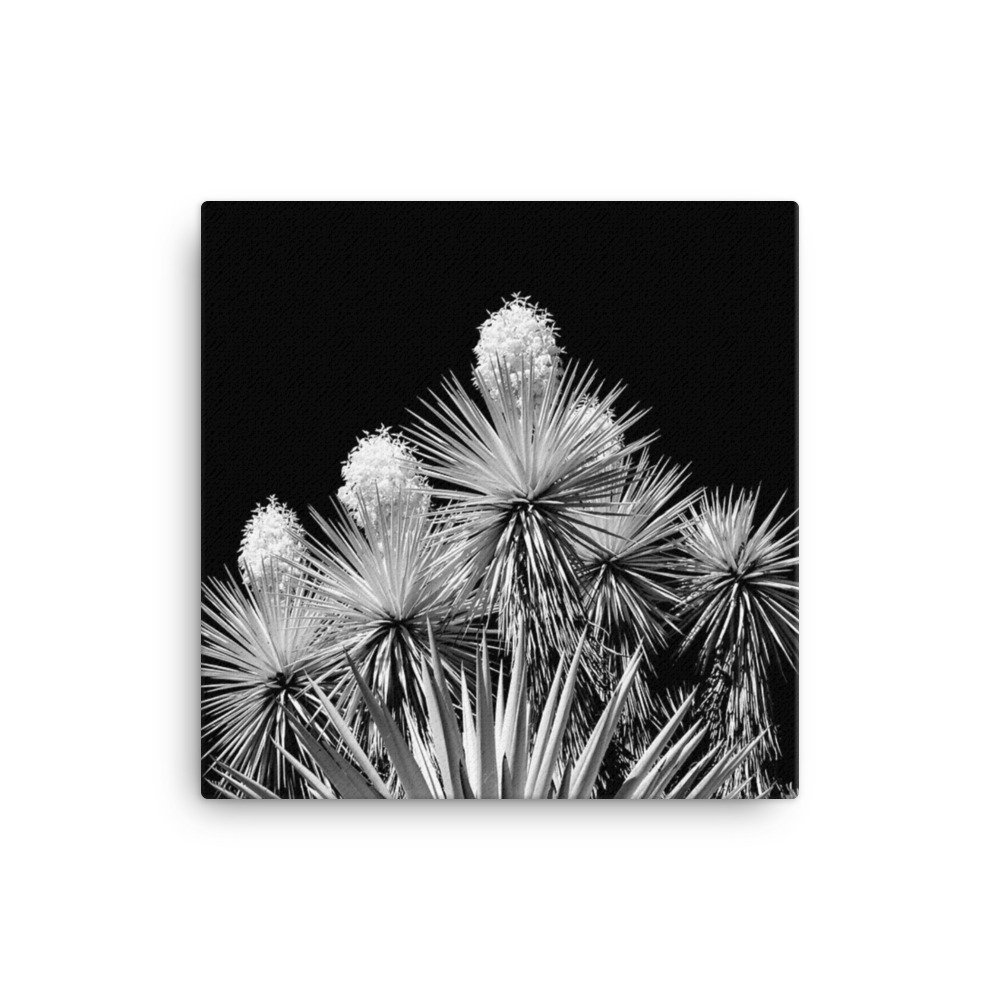 canvas-(in)-12x12-wall-660e1c6e7e2b9.jpg
