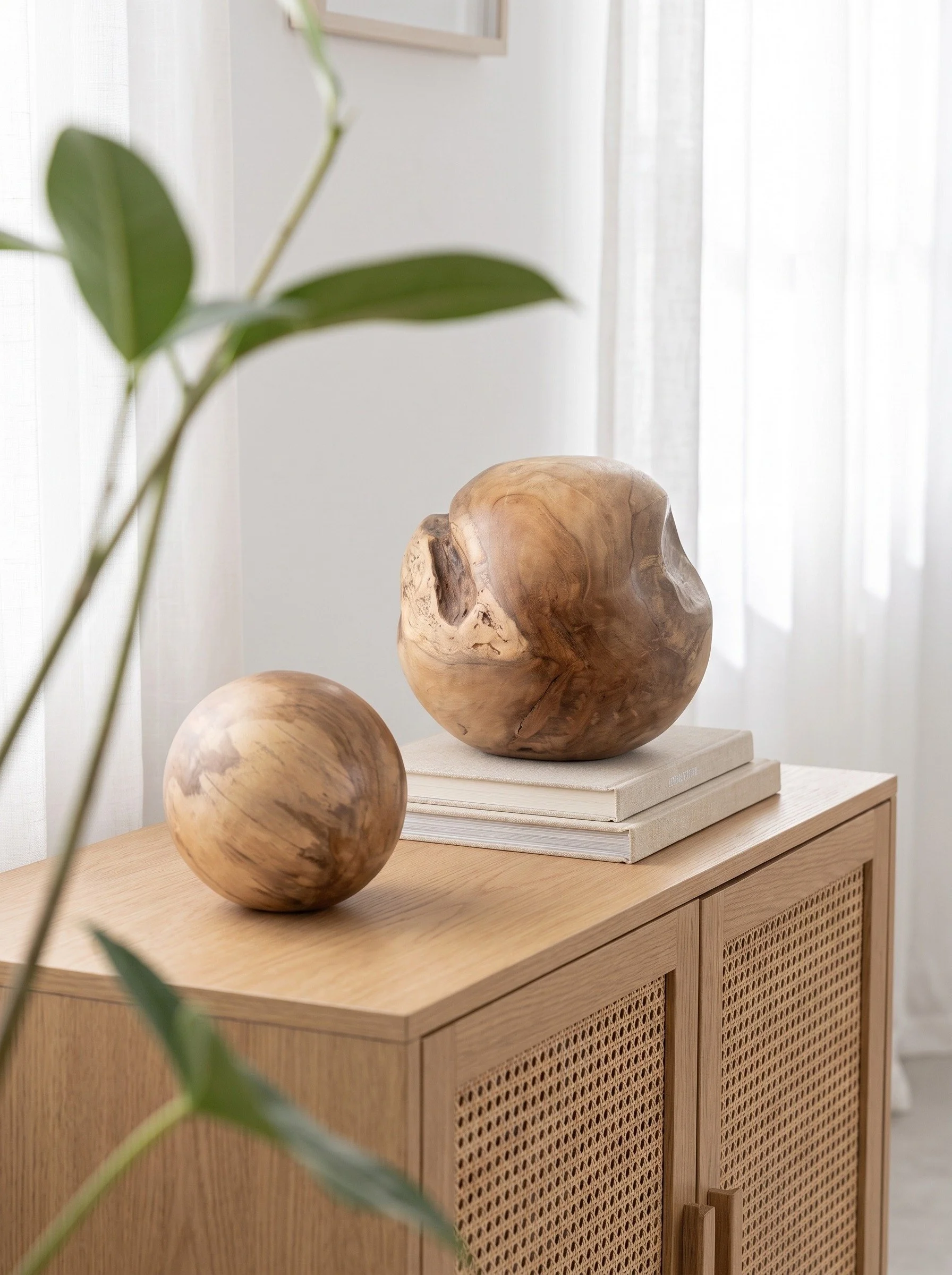 Teak_Root_Ball_Set_Of_202608310933_11zon.jpg