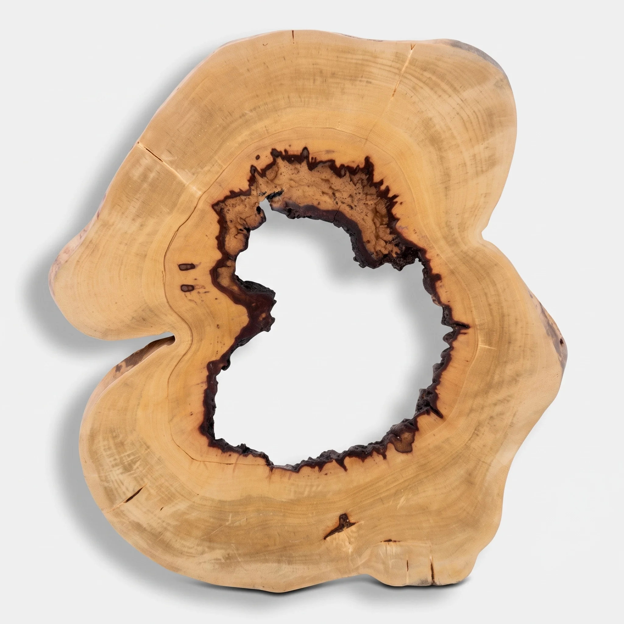 Tamarin Wall Decor