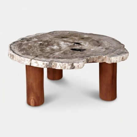 Dororo Coffee Table - 2.png