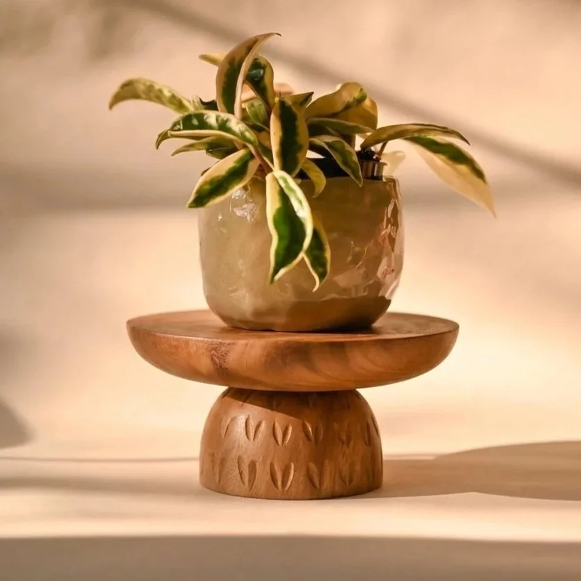 SALAUT%2BDECOR%2BS.jpg