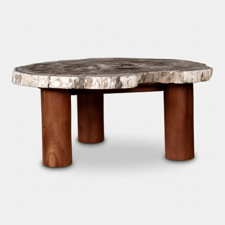 Dororo Coffee Table - 1.png