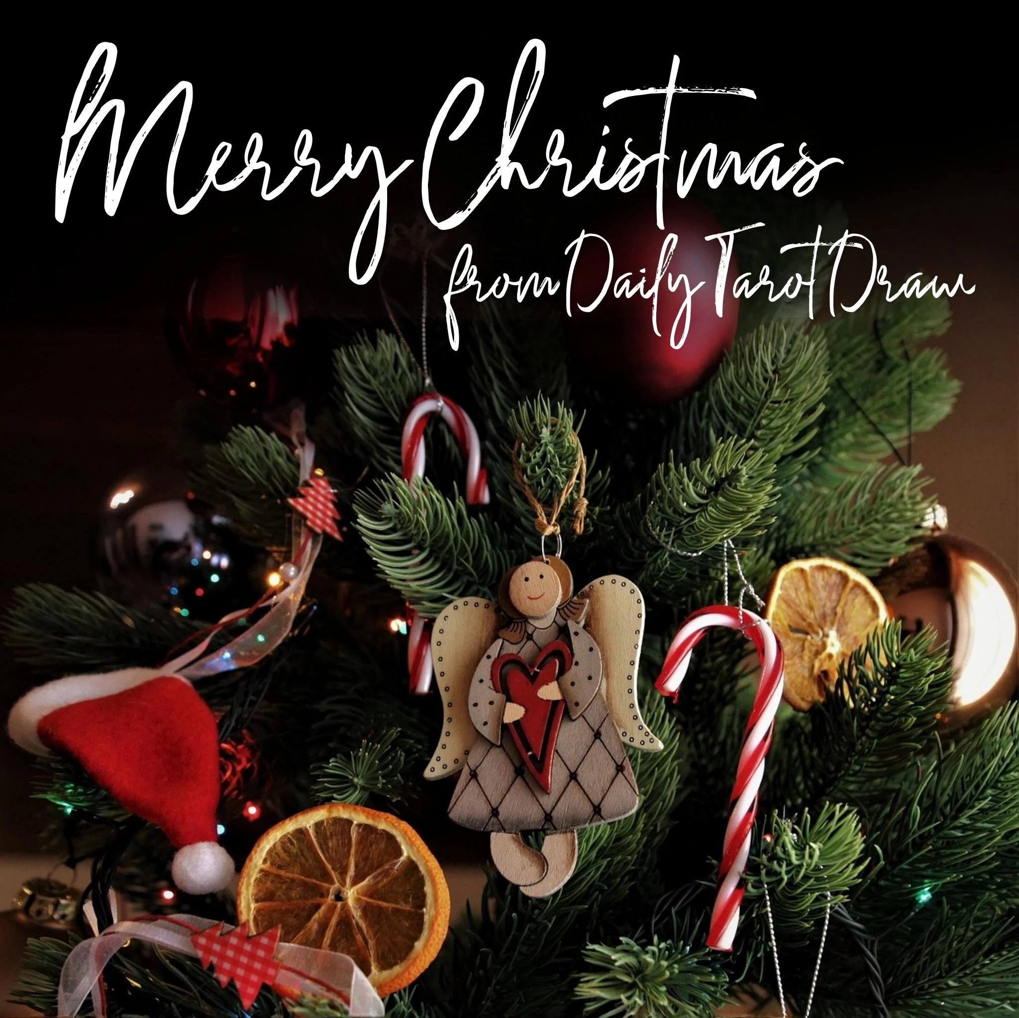 Merry Christmas Daily Tarot