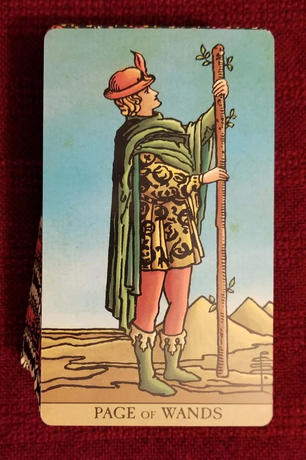 Tarot Card of the Day