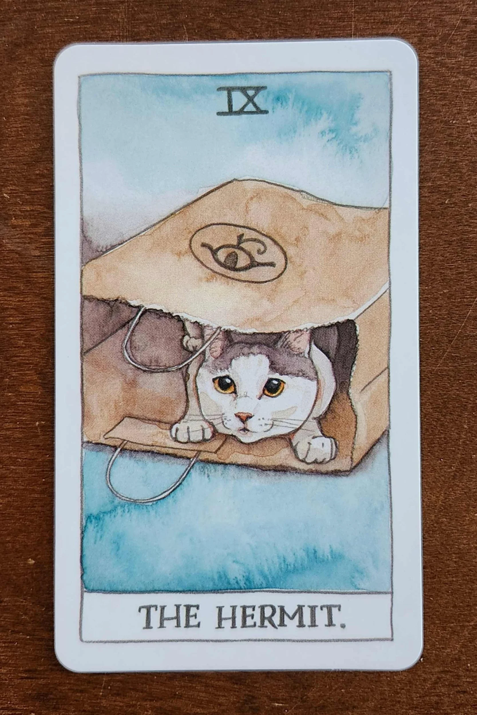 The hermit cat tarot