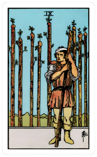 9 of wands card of the day
