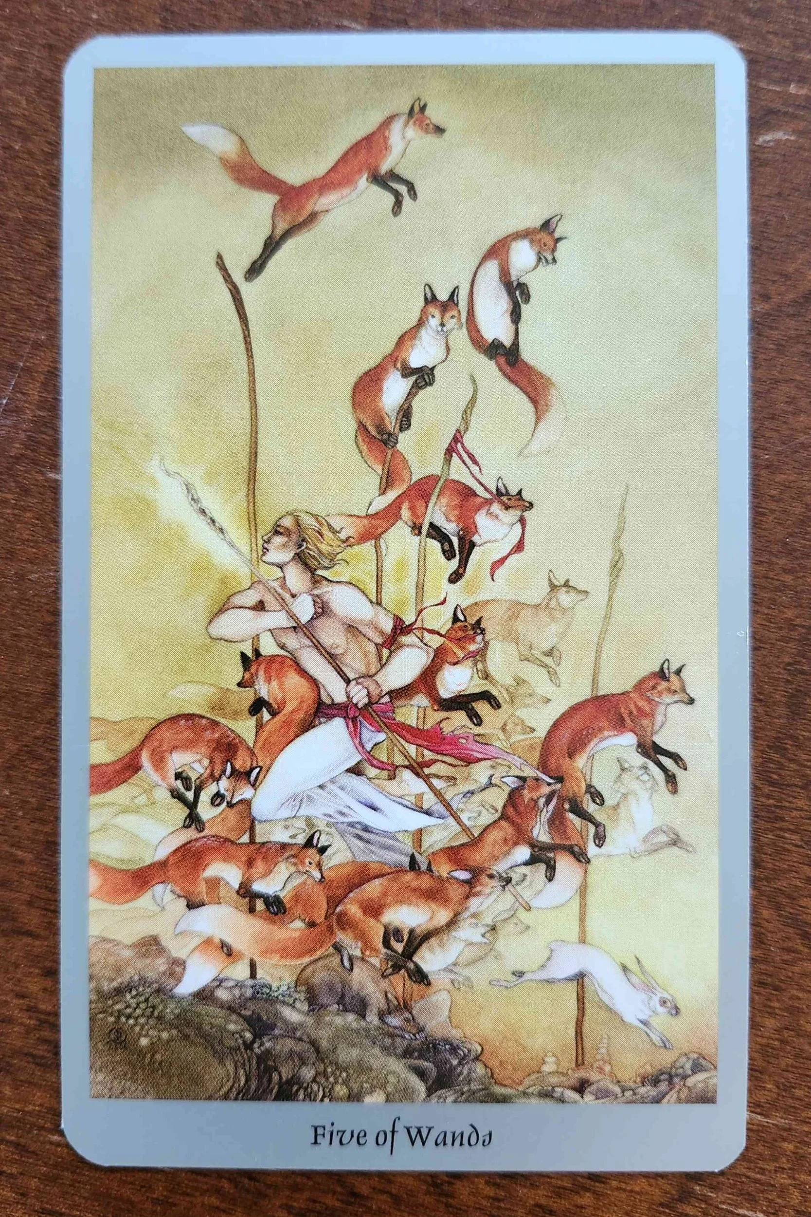 Five of Wands