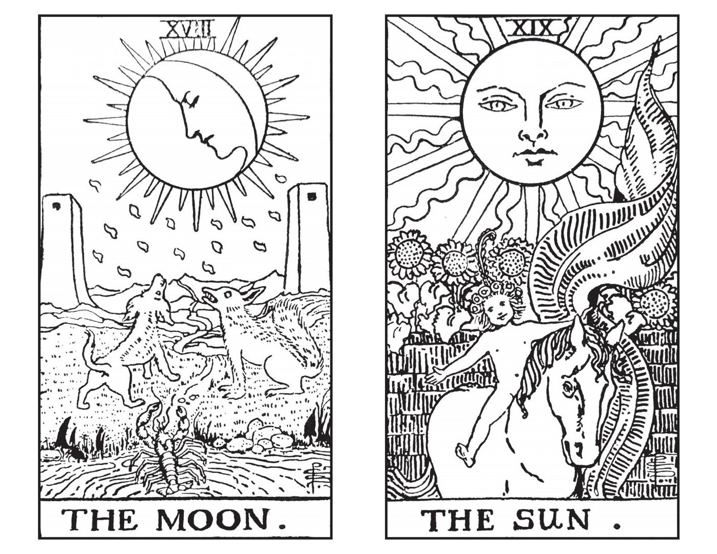 Tarot Coloring Book pdf Free