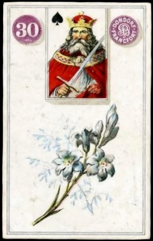 Lenormand