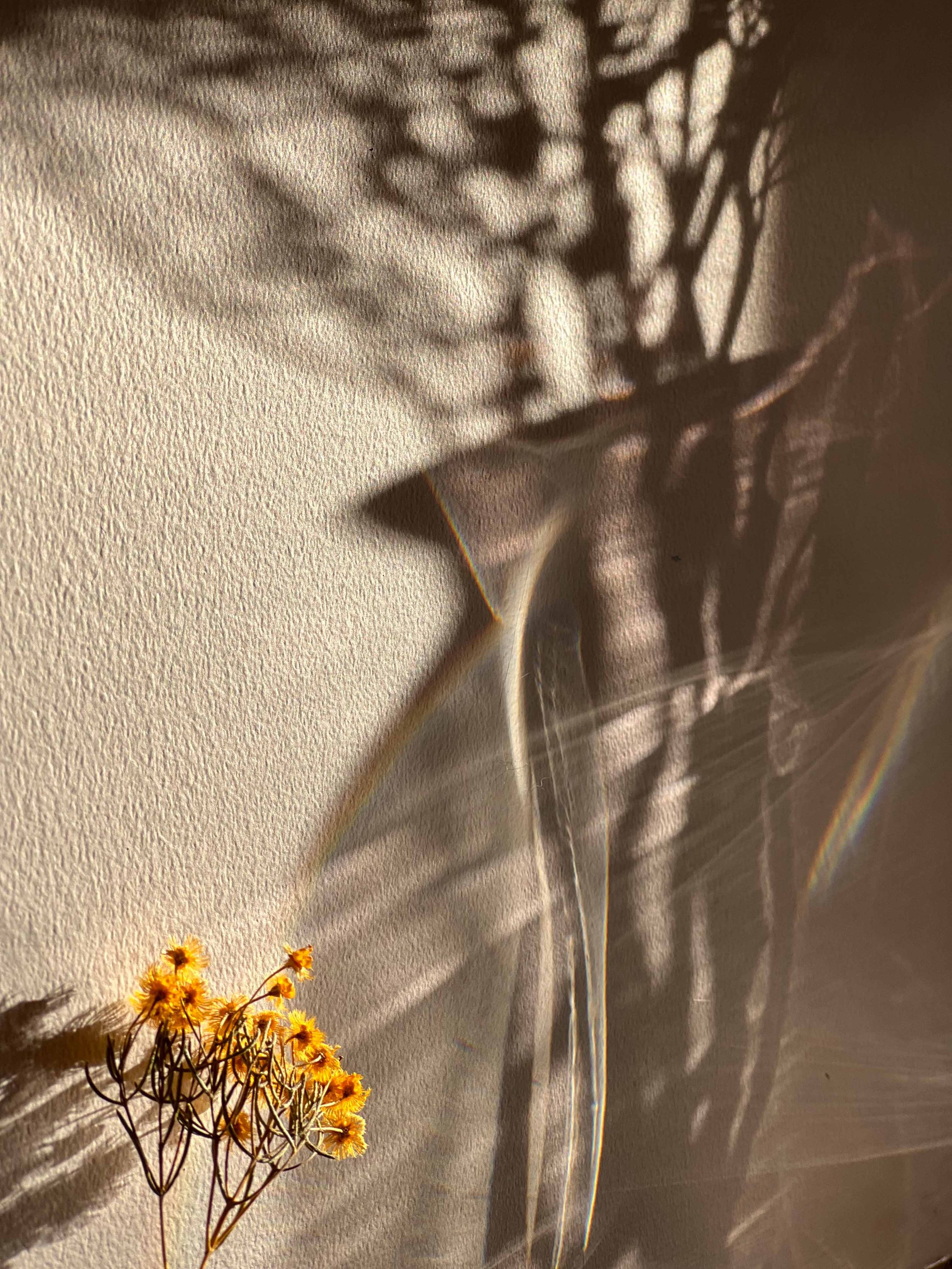 Ranu Jain Photography