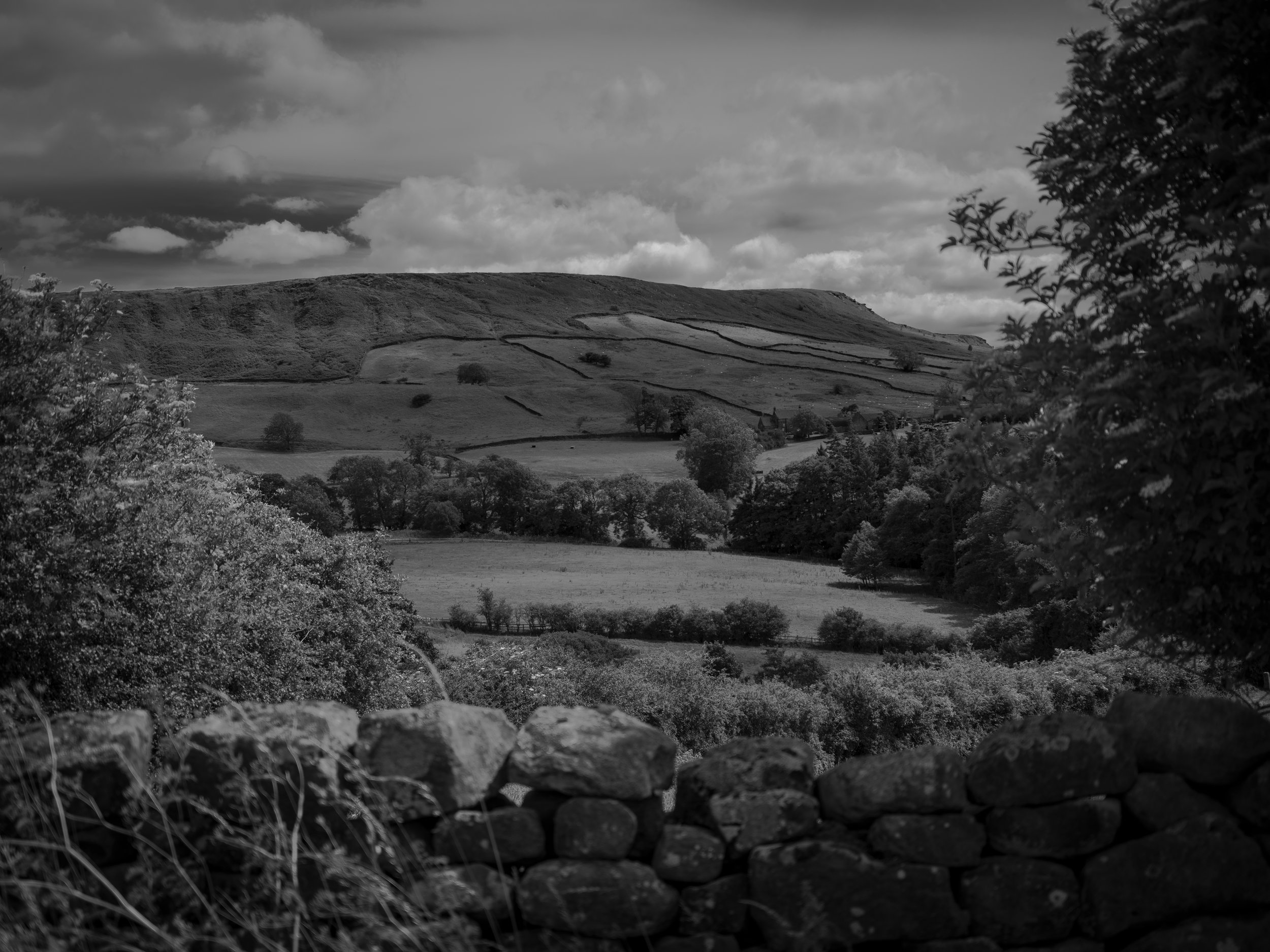 DSCF6965.jpg