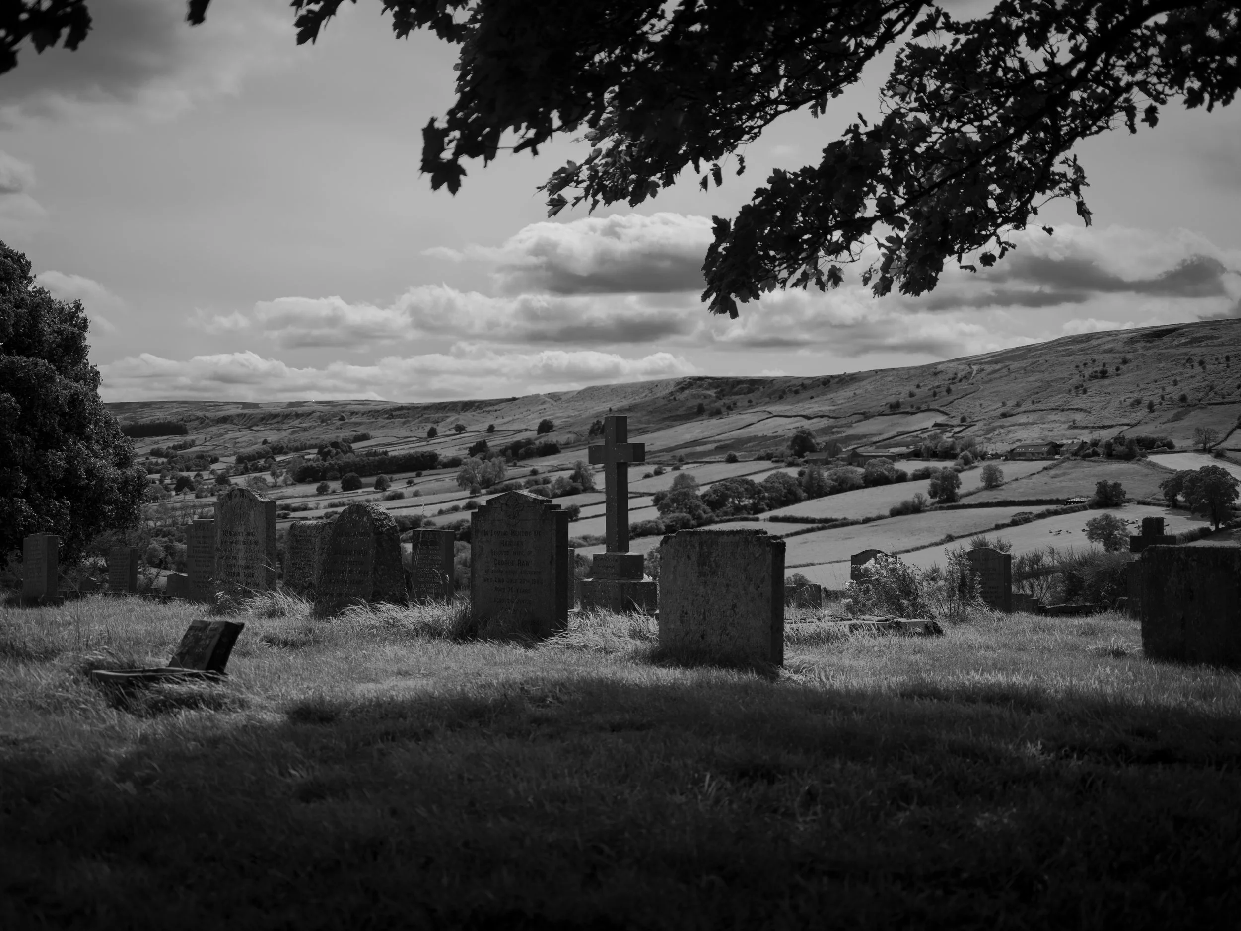 DSCF7009.jpg