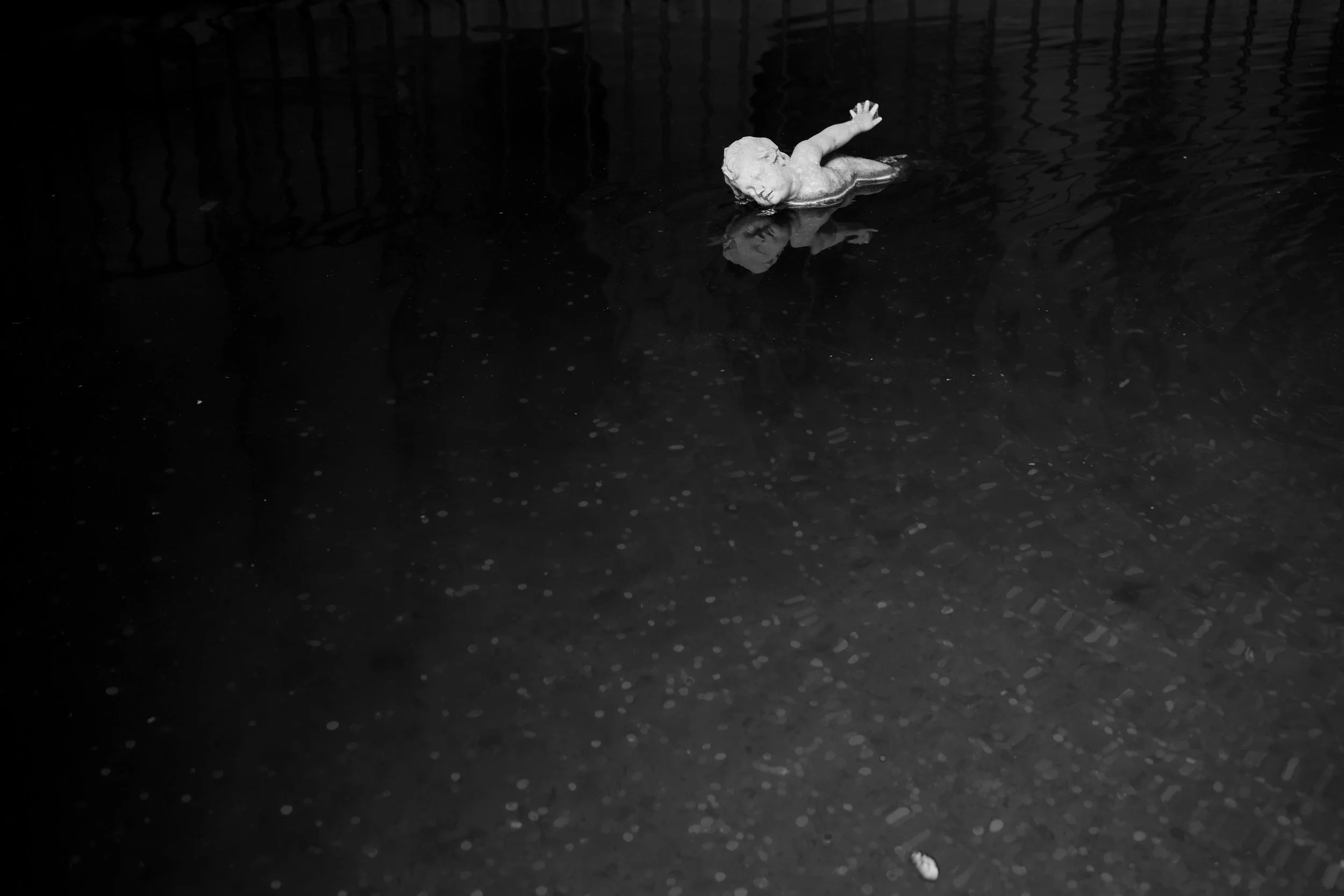 DSC06220.jpeg