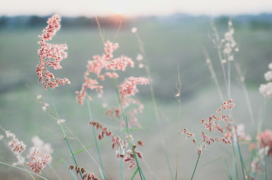 WOMEN’S HEALTH THROUGH THE LENS OF THE NERVOUS SYSTEM