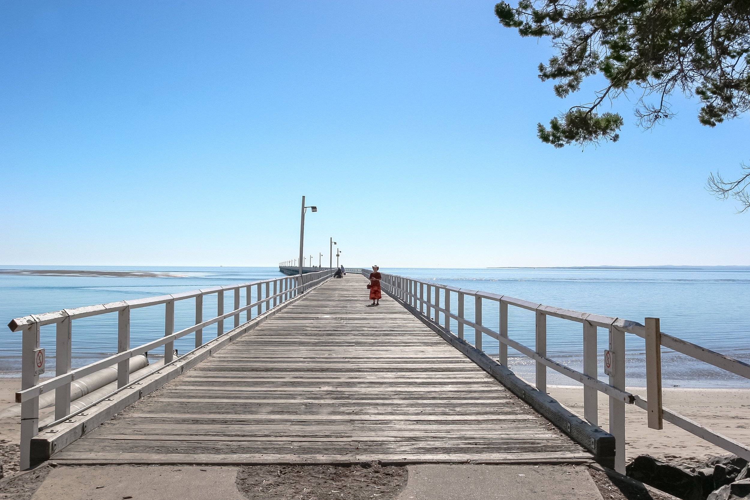 iStock-490812022.jpg
