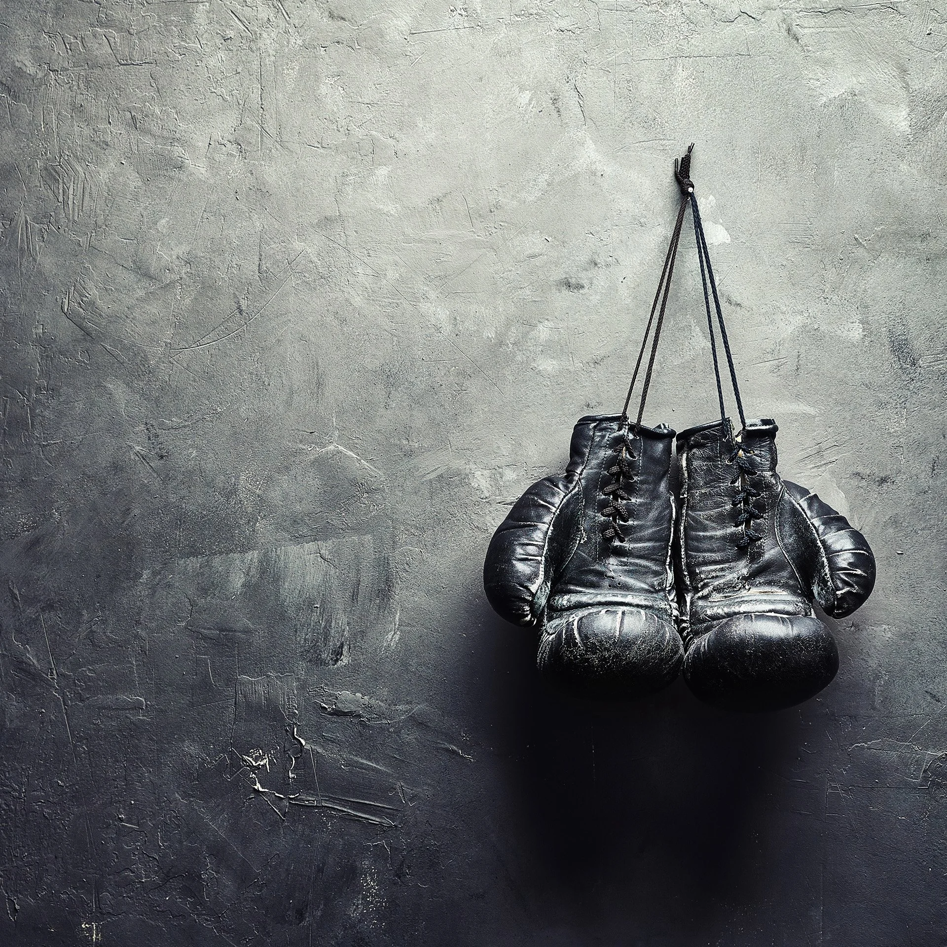 PitchBoXing 2022.1