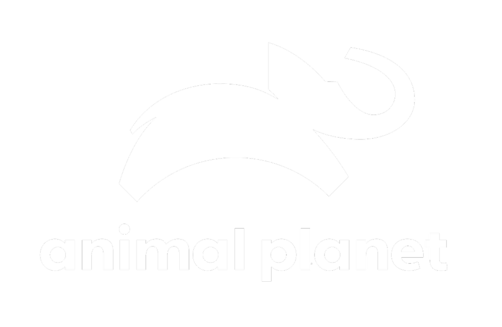 Animal Planet Southeast Asia - Discovery Networks