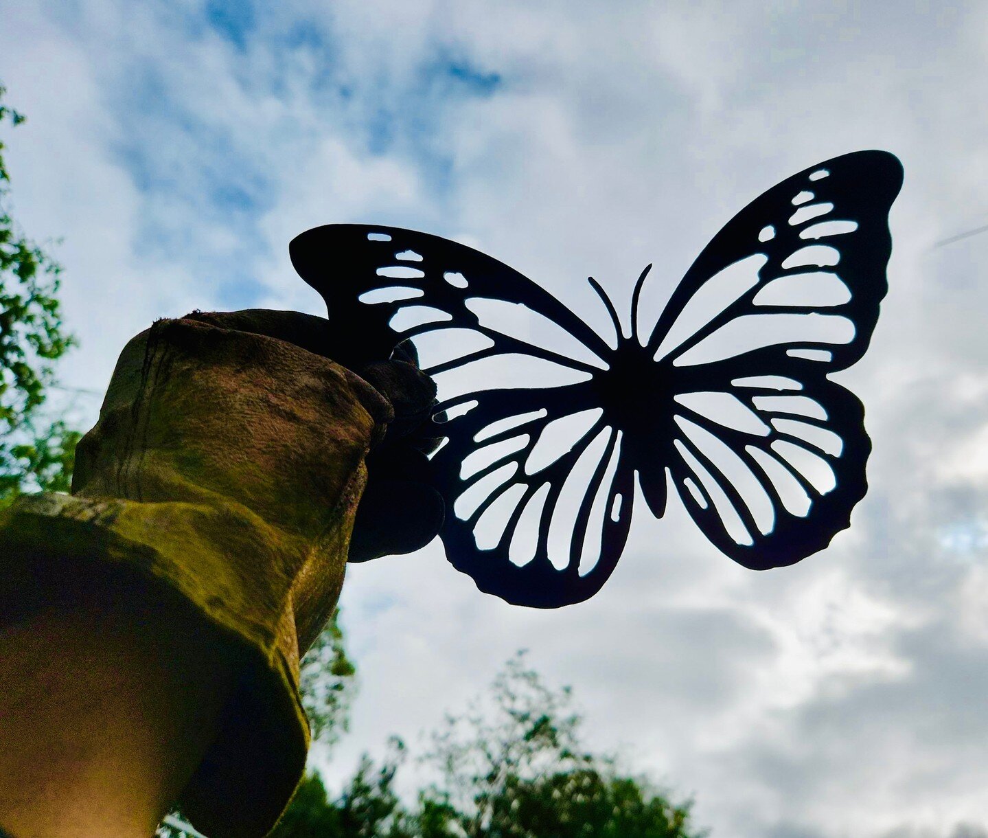 May or may not be inspired but The Hungry Hungry Caterpillar&hellip; 

#nannup #flower #garden #festival #gardening #sculpture #gardenart #metalart #art #metal #welding #tulip #southwest #busselton #dunsborough #margaretriver #steel #butterfly #paint