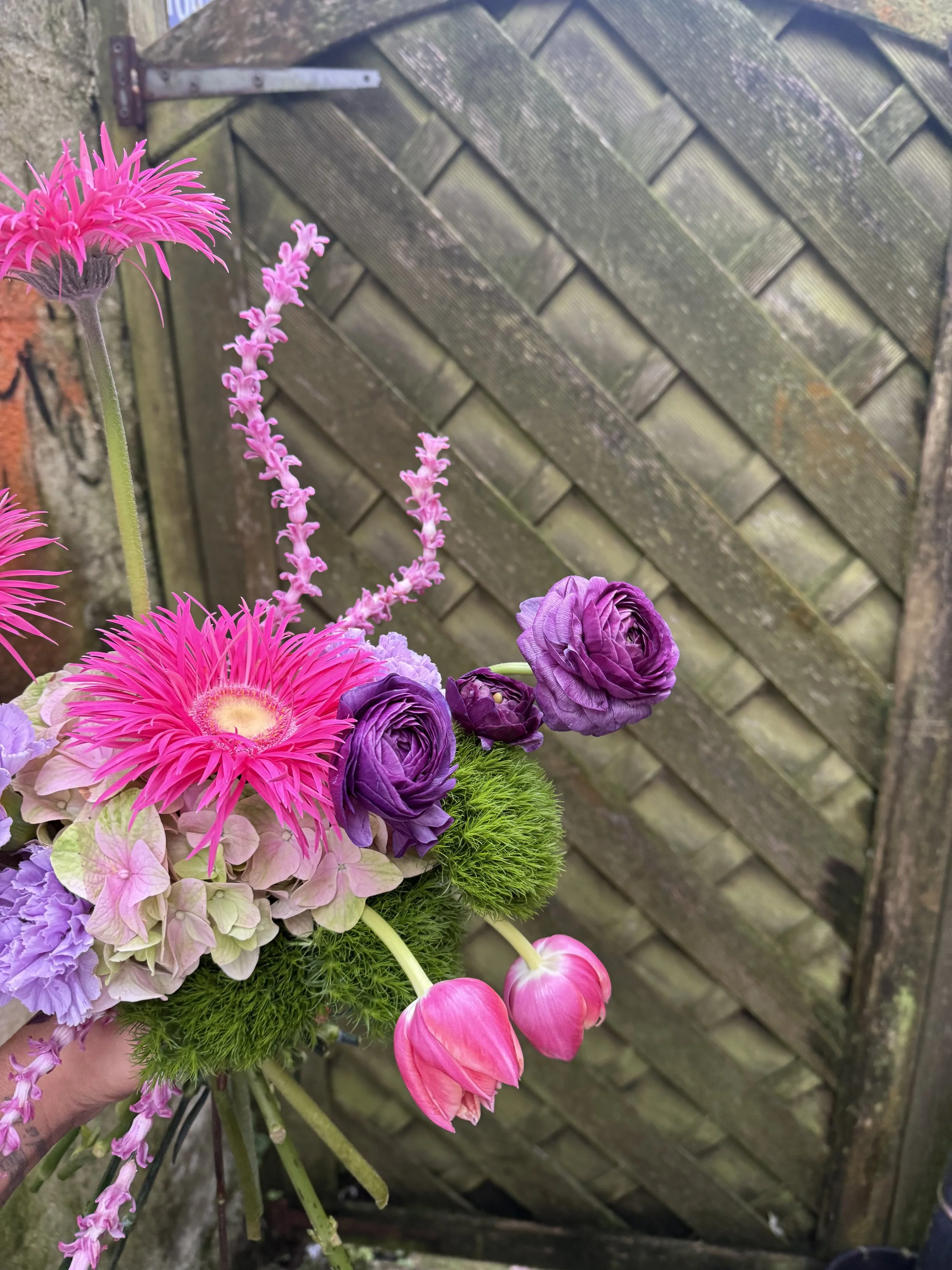 Moving and Blooming!