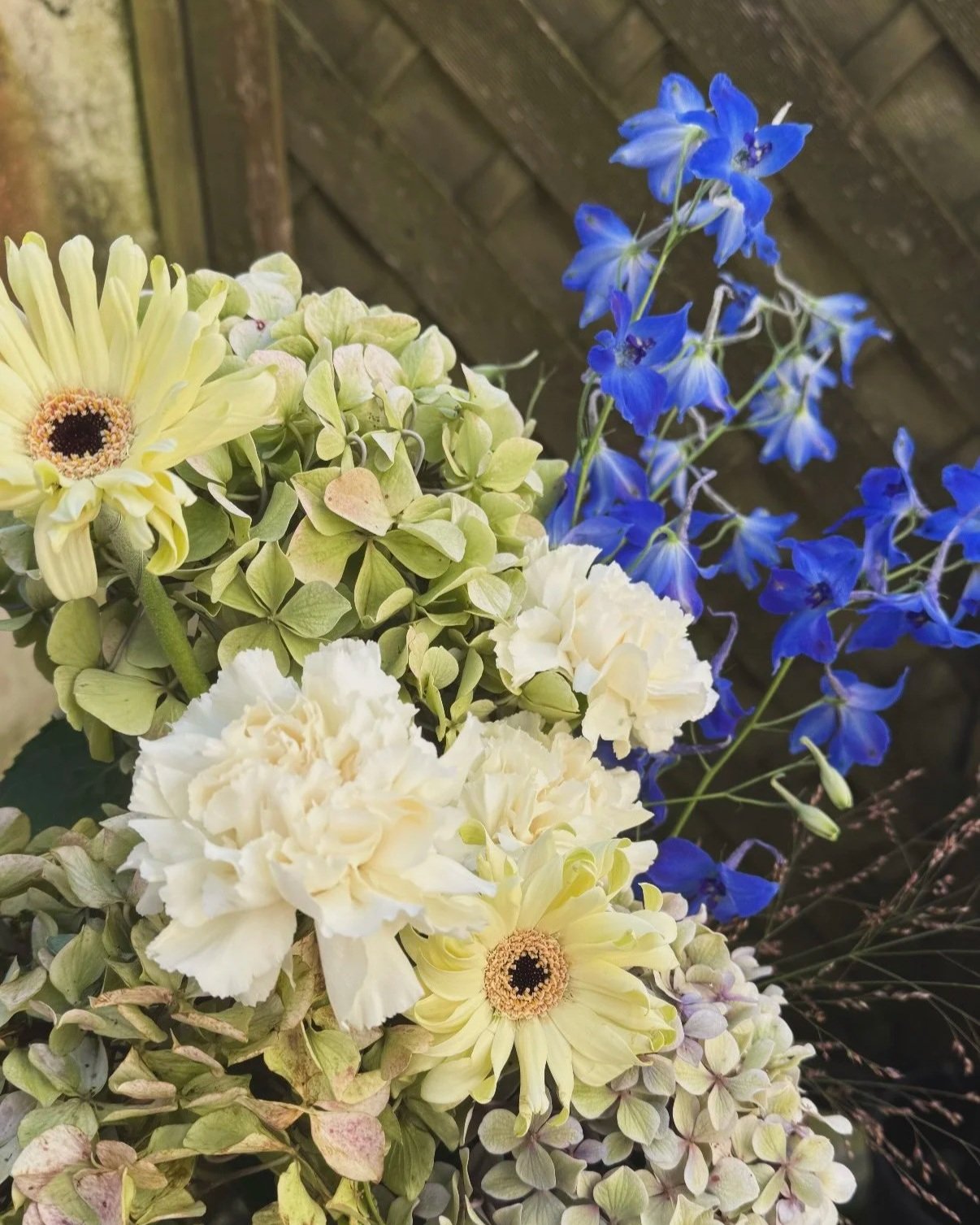 97F55DBC-1119-4F50-B2D7-4CC6DDD22A45.jpg (Copy)