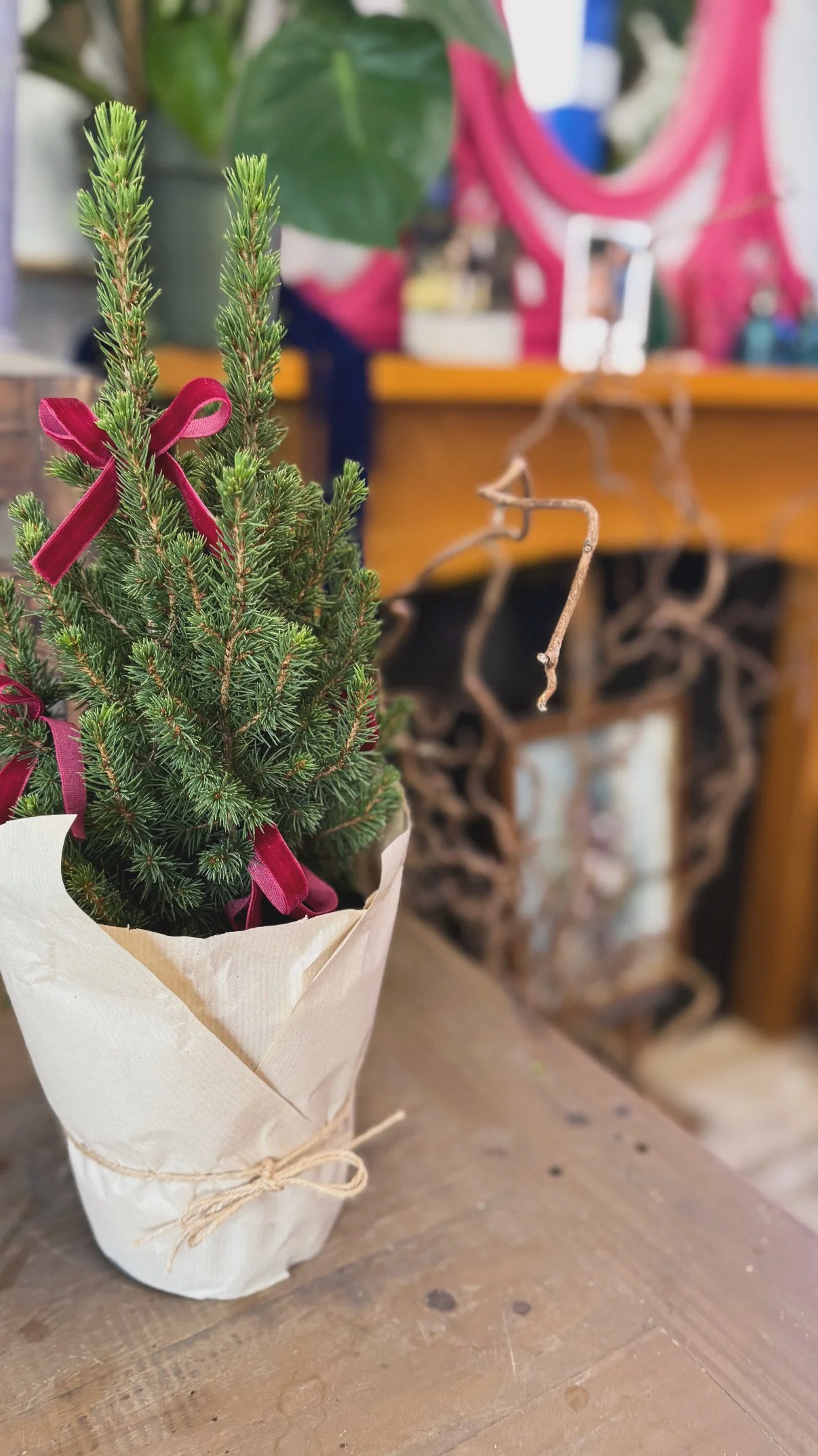 FF6383DF-0FA5-4359-AA16-466F5EC9A721 2.JPG