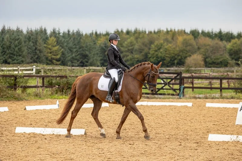 Dressage ireland Show 