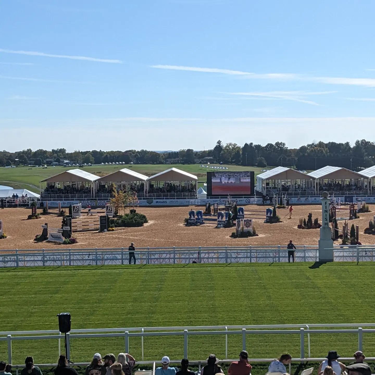Horse Showjumping and Corgi racing adventures this weekend. It was a spectacle to be seen!