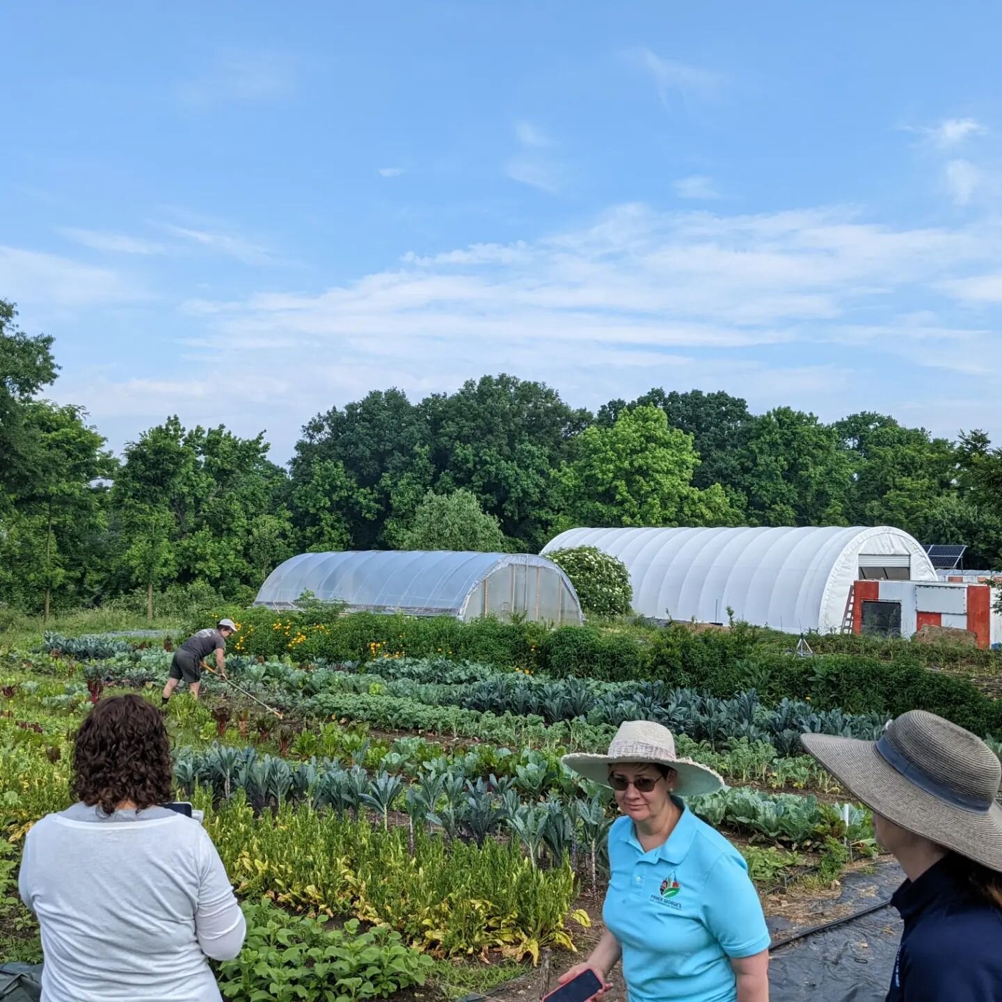 Thank you @ecocityfarms for taking the time to show us around your site and share your story this morning!