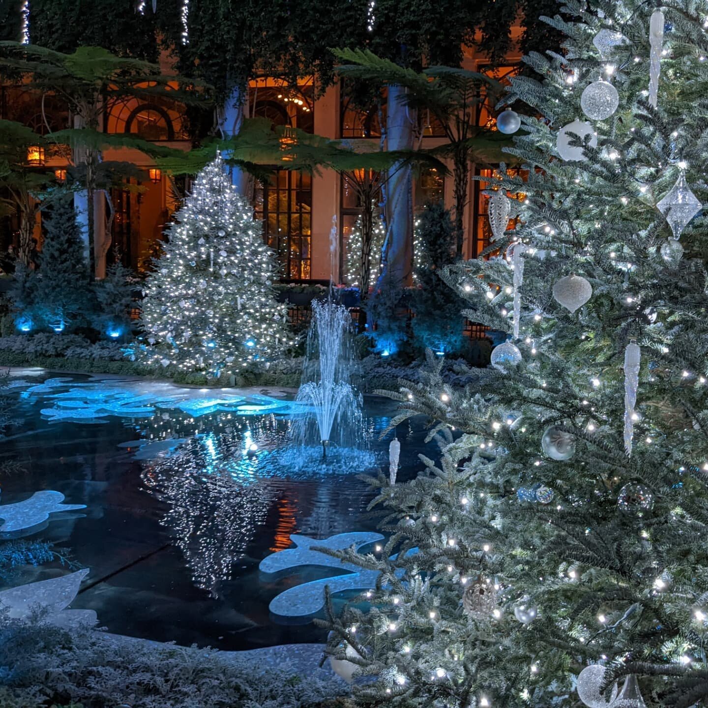 Another lovely Longwood Christmas-a beautiful showcase of fire and ice!