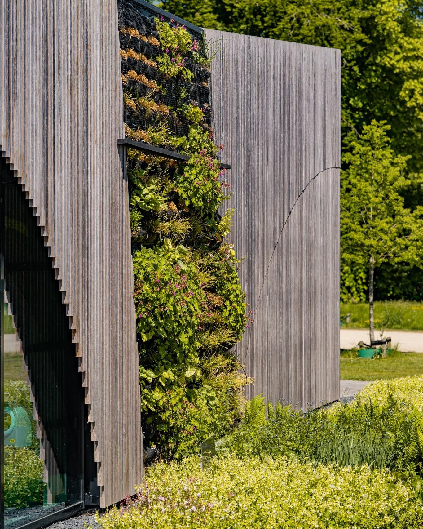 𝚂𝚝𝚎𝚎𝚍𝚜 𝚎𝚎𝚗 𝚋𝚎𝚎𝚝𝚓𝚎 𝚐𝚛𝚘𝚎𝚗𝚎𝚛&hellip;

Onze groene wand wordt steeds voller en groener. Een prachtige combinatie van hout en beplanting die inmiddels een echte eye-catcher is geworden.
Het geeft het pand niet alleen een warme uitstr