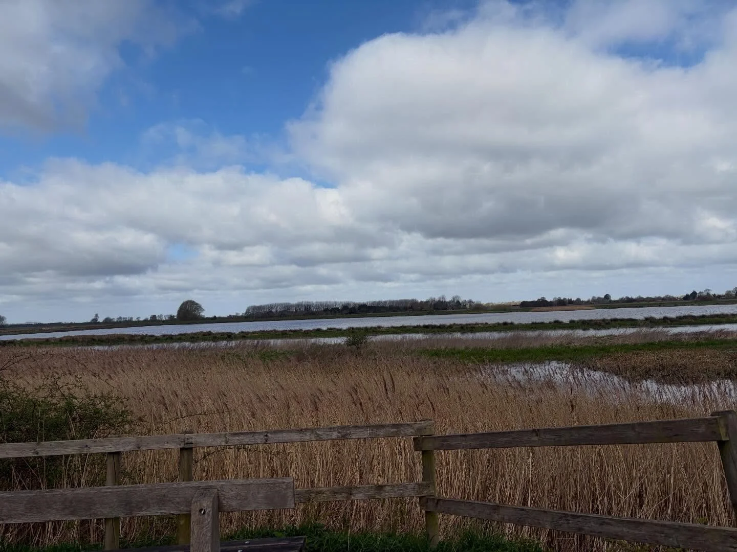 Today the Lakenheath Alliance for Peace visited a beautiful area to go birdwatching. A welcome relief from the roar of the fighter planes at the main gate of RAF Lakenheath. Although disappointingly there were far more plane spotters looking for the 