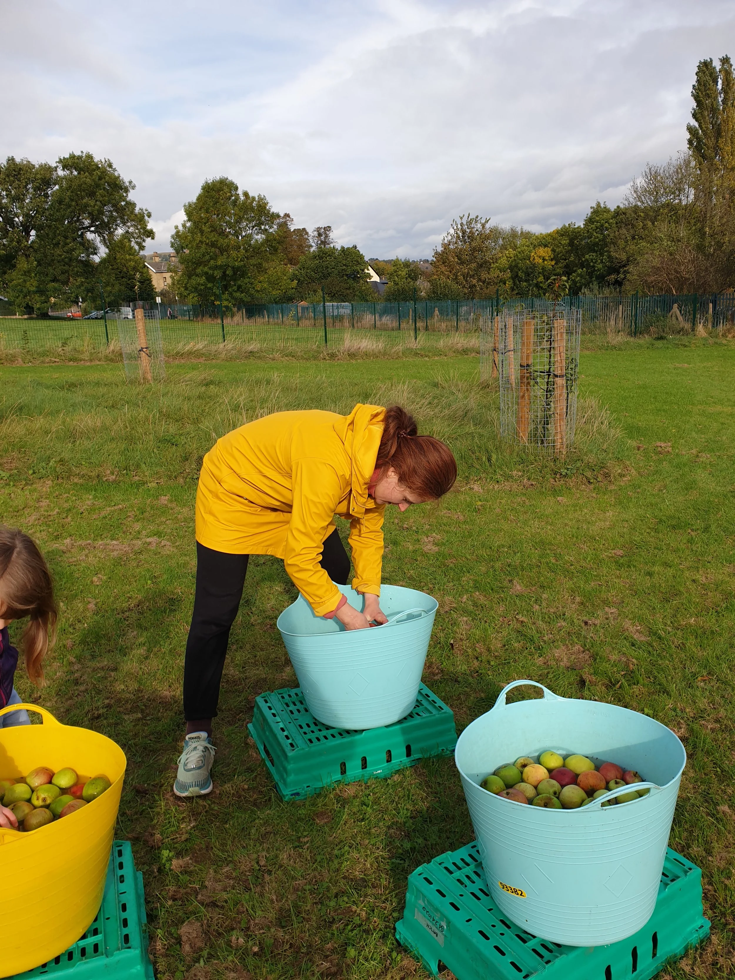 Apple Day at Heaton Allotments