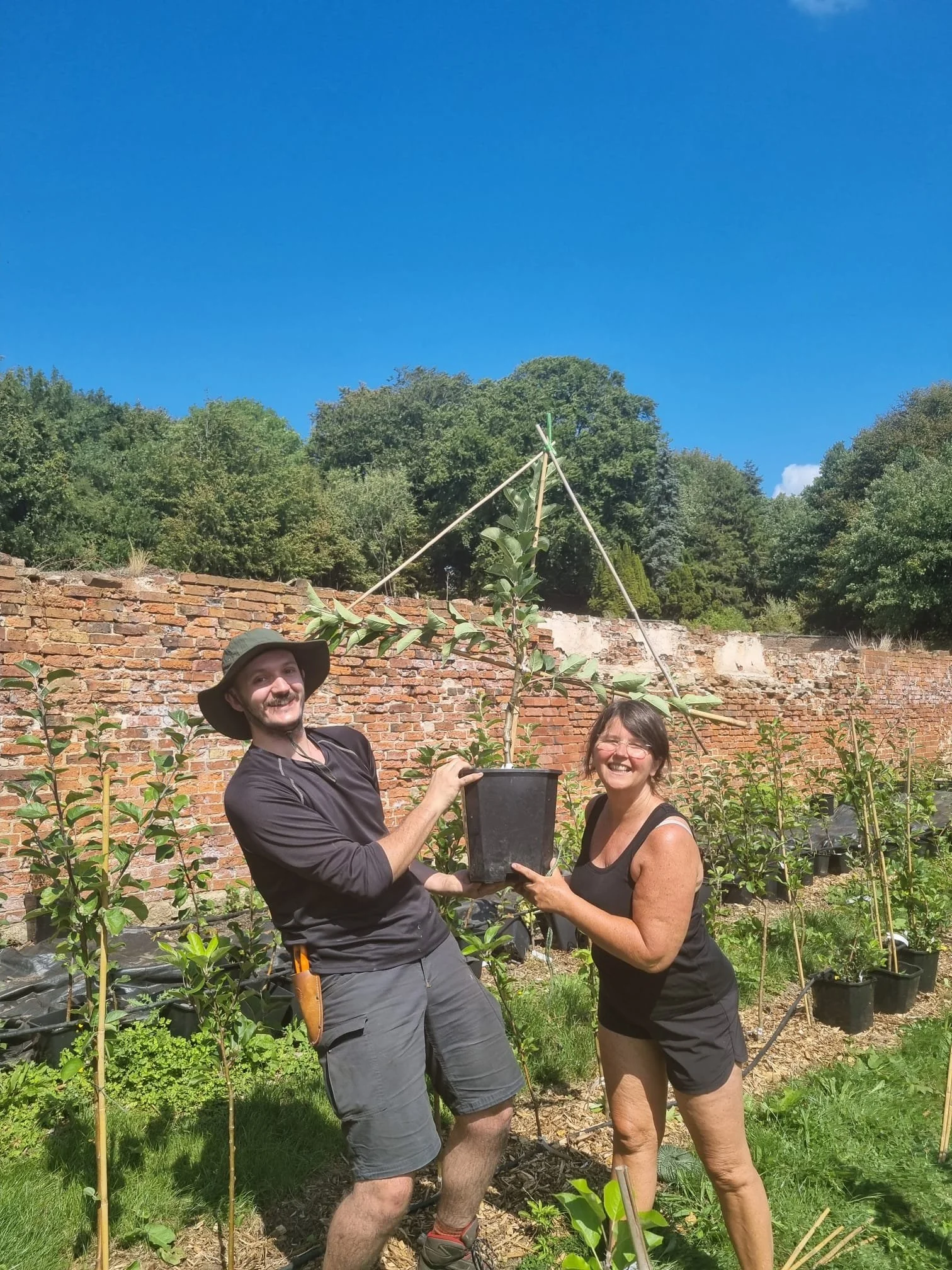 Tree nursery volunteer day - June 2026