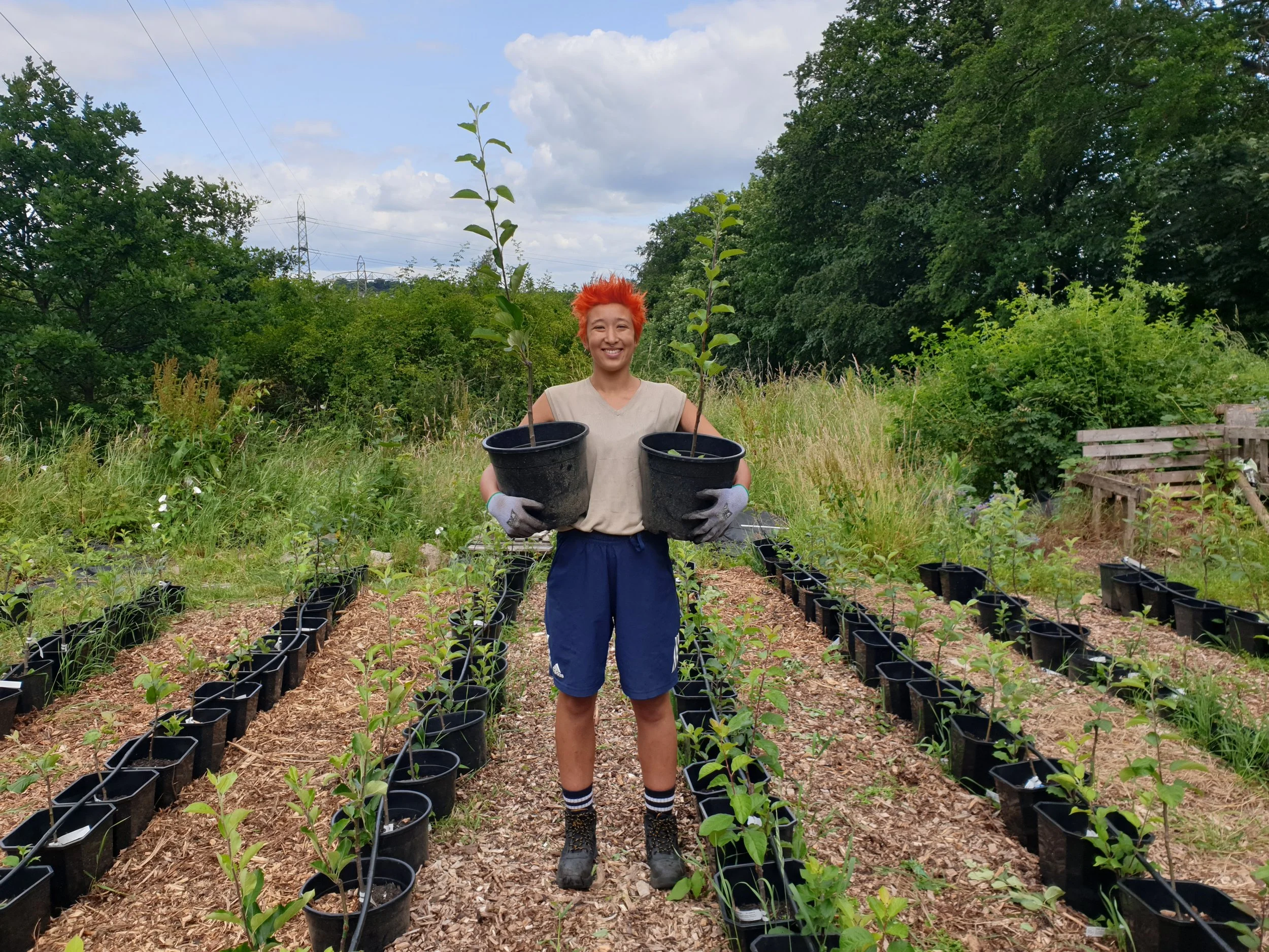 Tree nursery volunteer day - August 2026