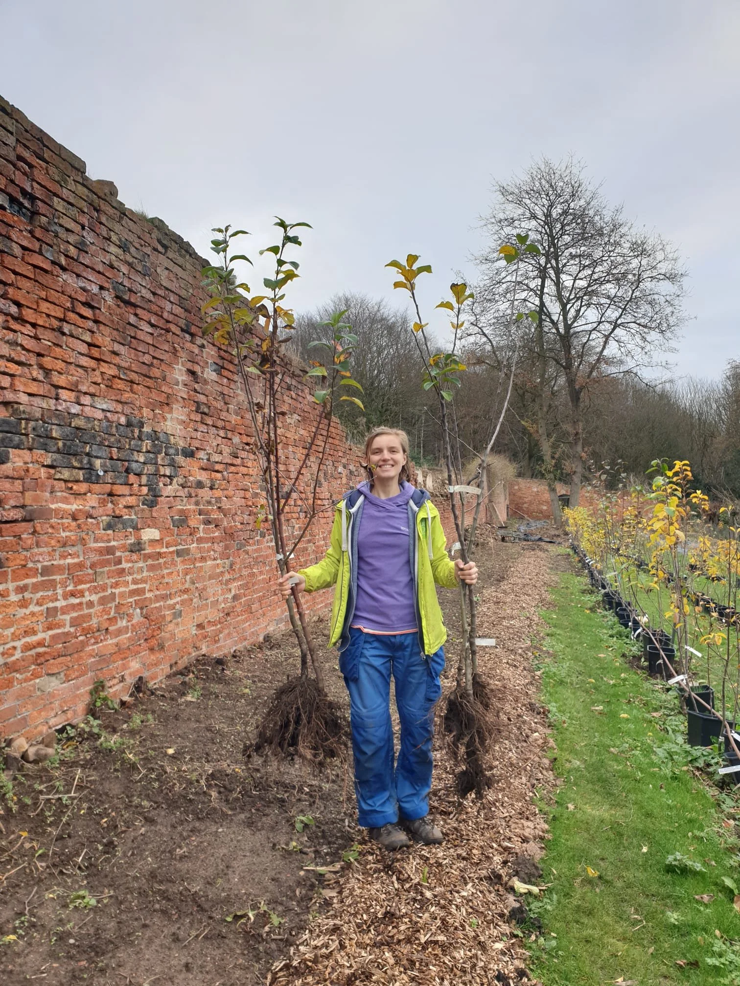 Tree nursery volunteer day - November 2026