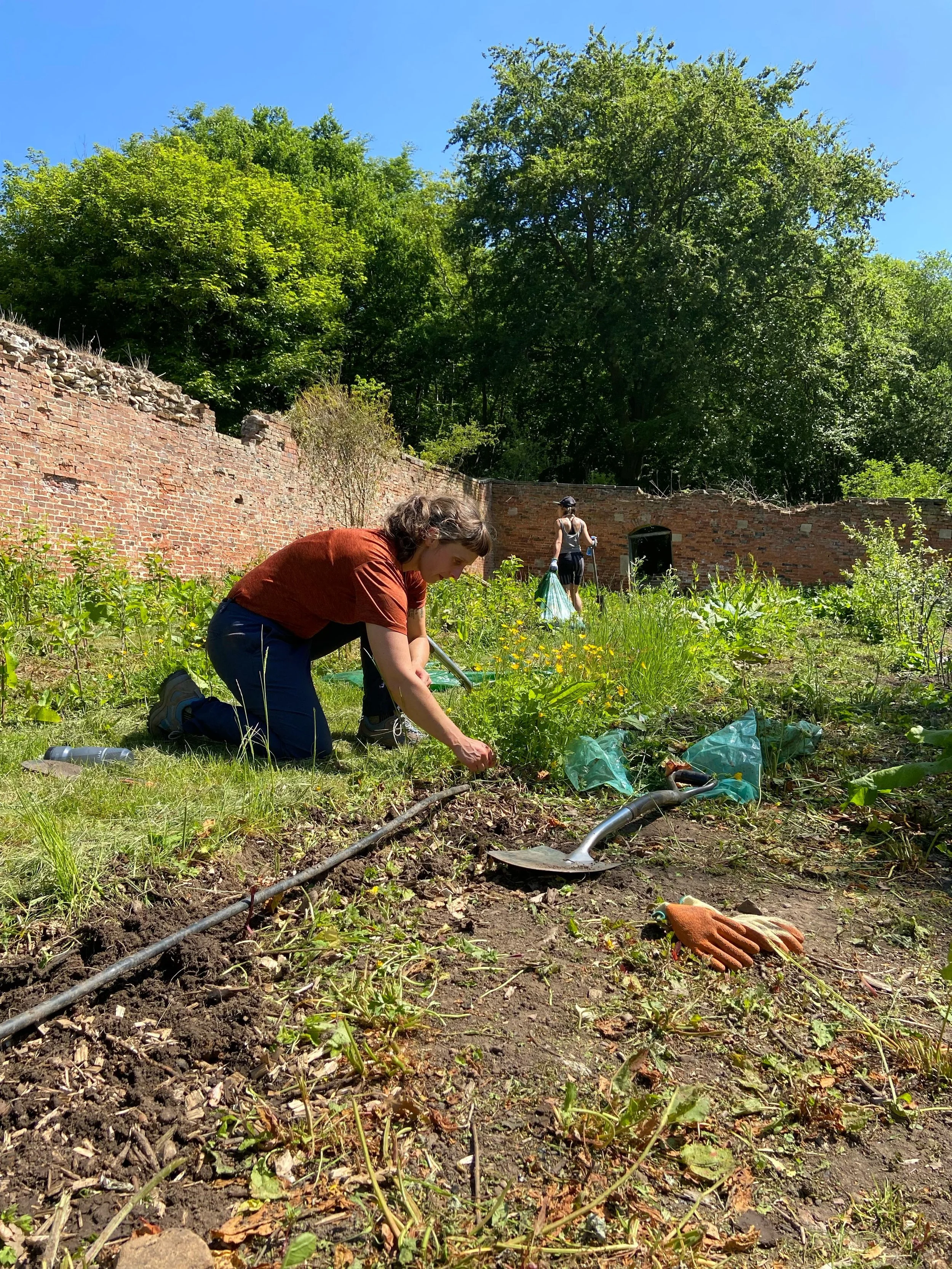 Tree nursery volunteer day - December 2026