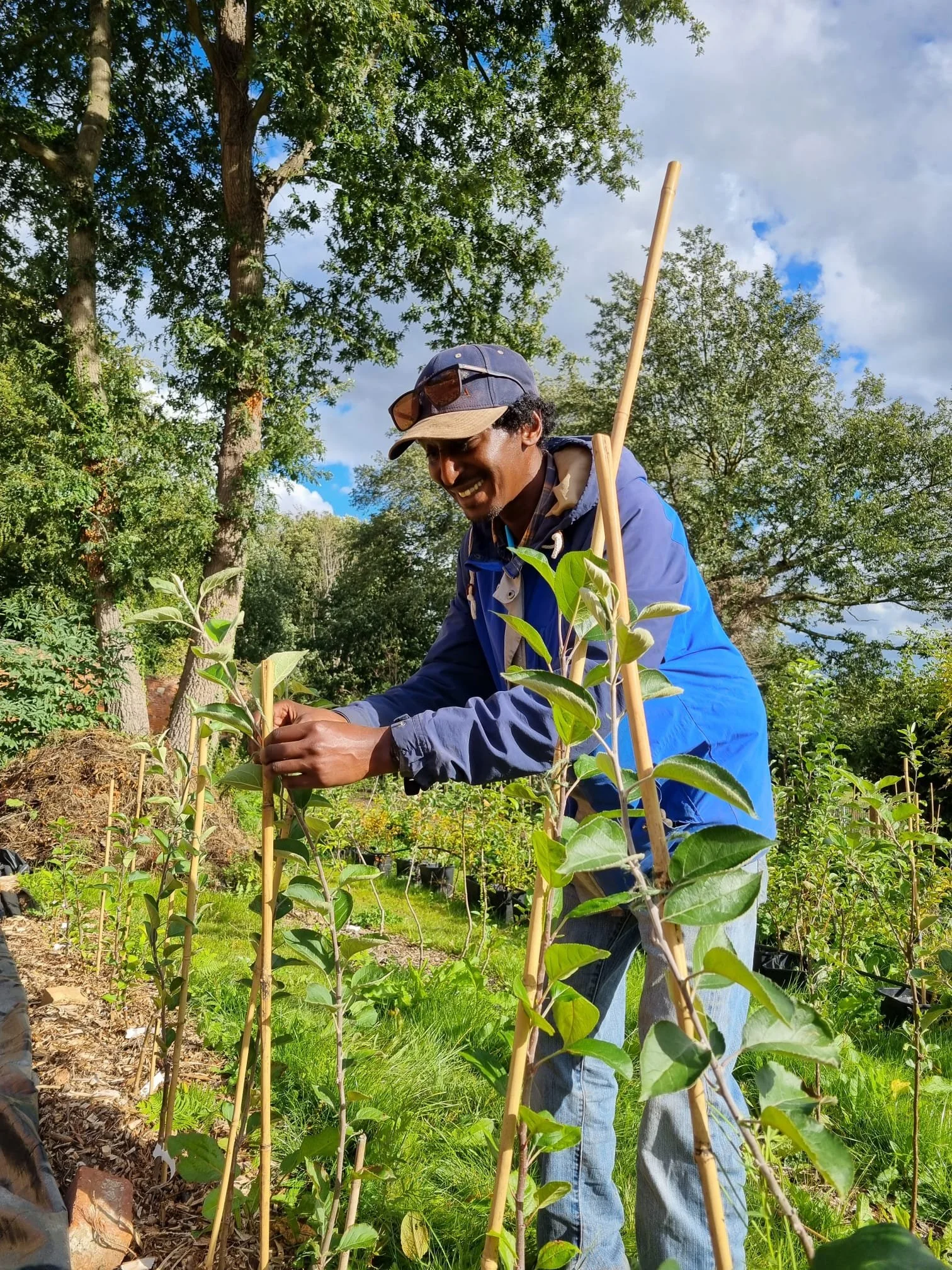 Tree nursery volunteer day - September 2026