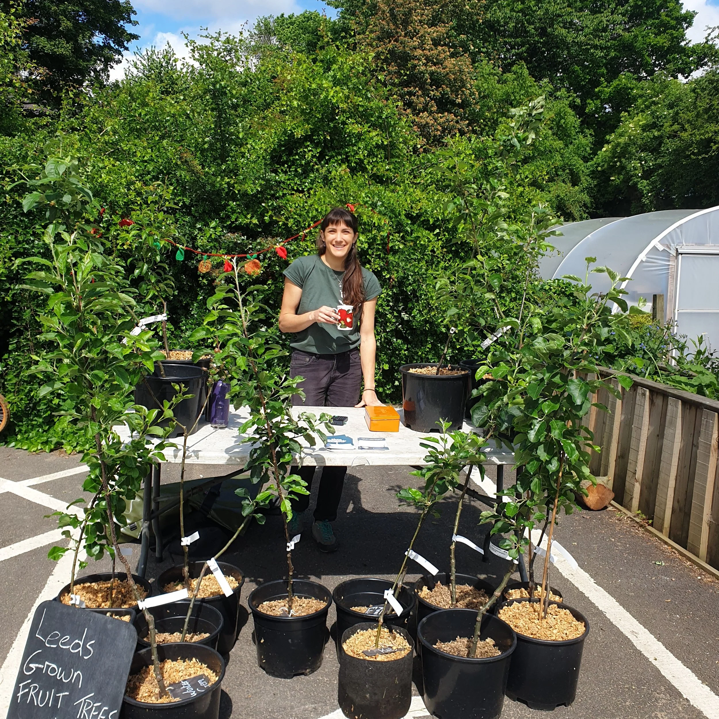 Summer Pots Sale