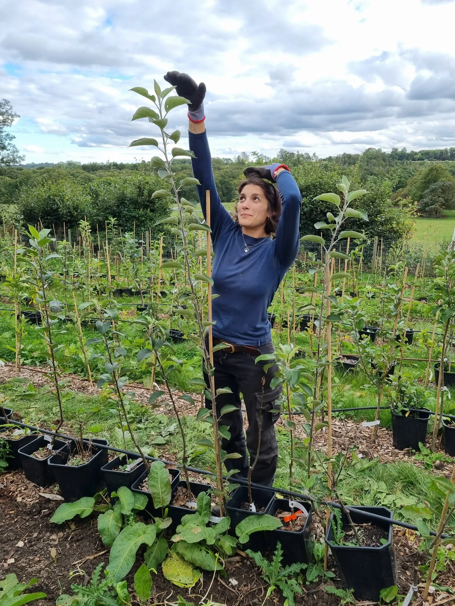 WhatsApp Image 2025-11-11 at 13.32.19_270f2e22.jpg