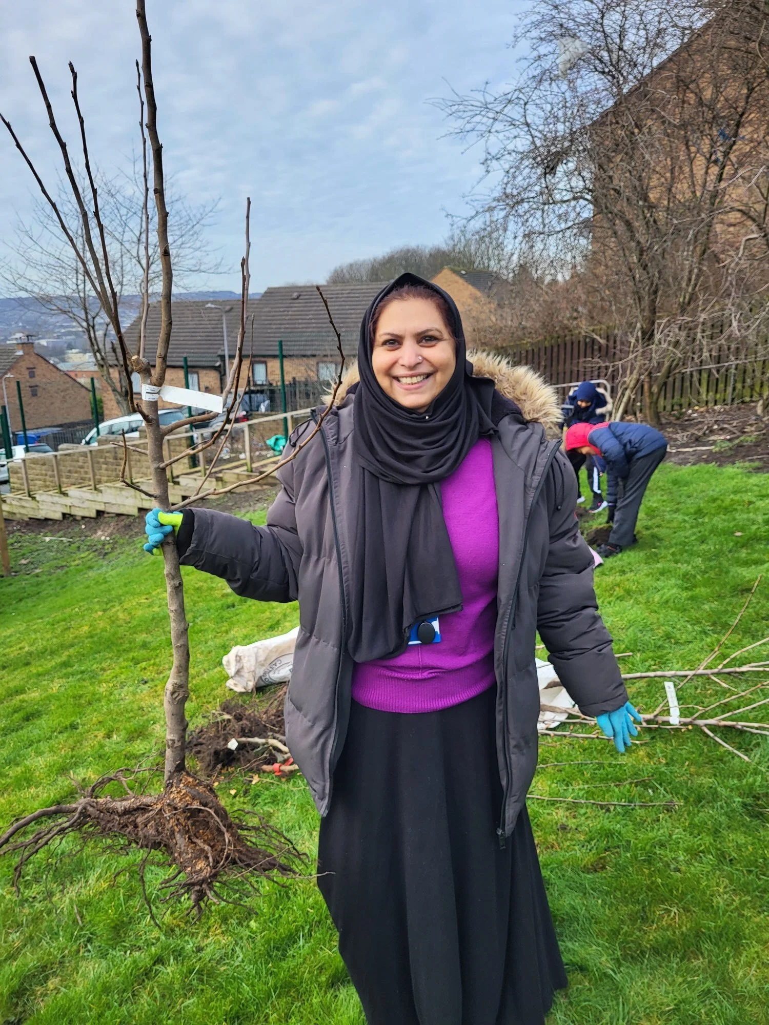 Schoolteacher planting a bare root fruit tree