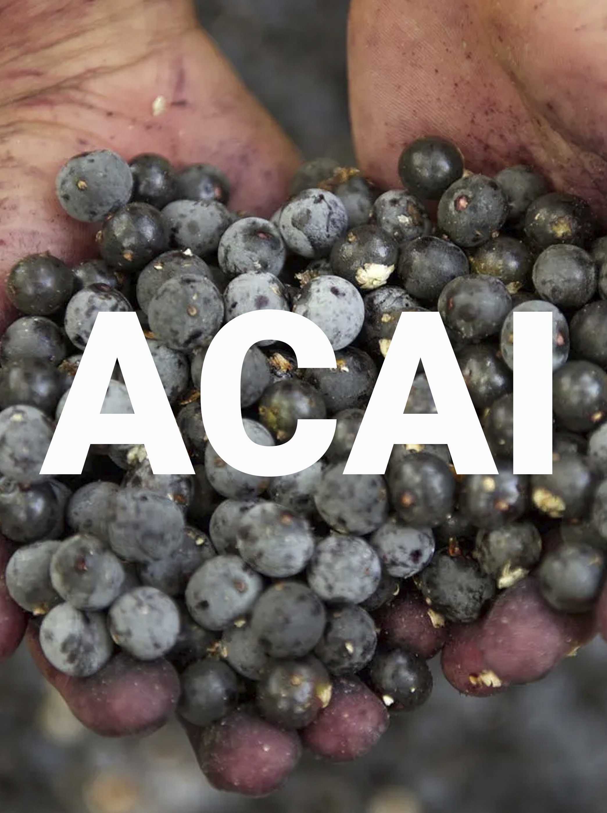 acai_WORD.jpg
