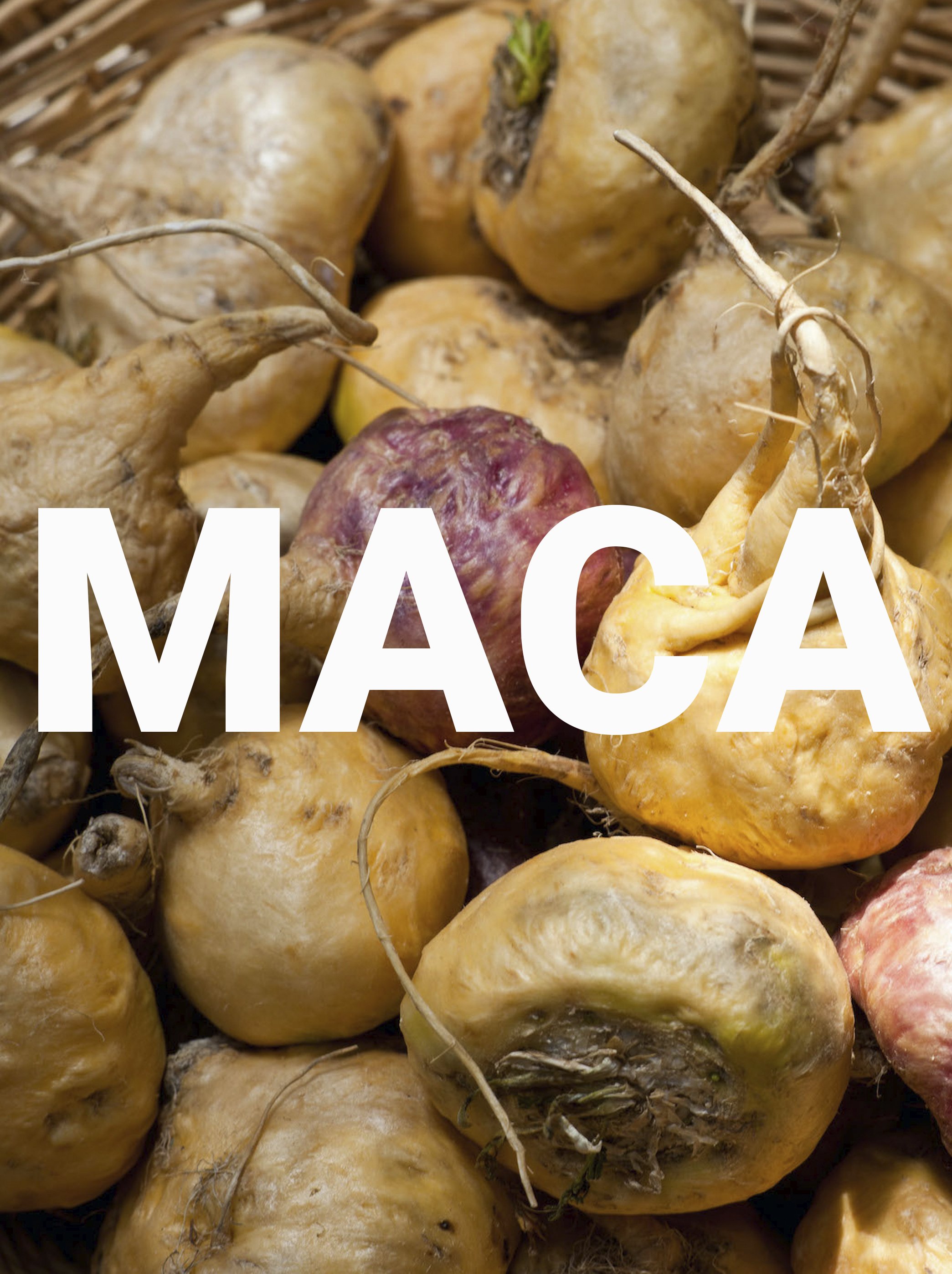 maca_word.jpg