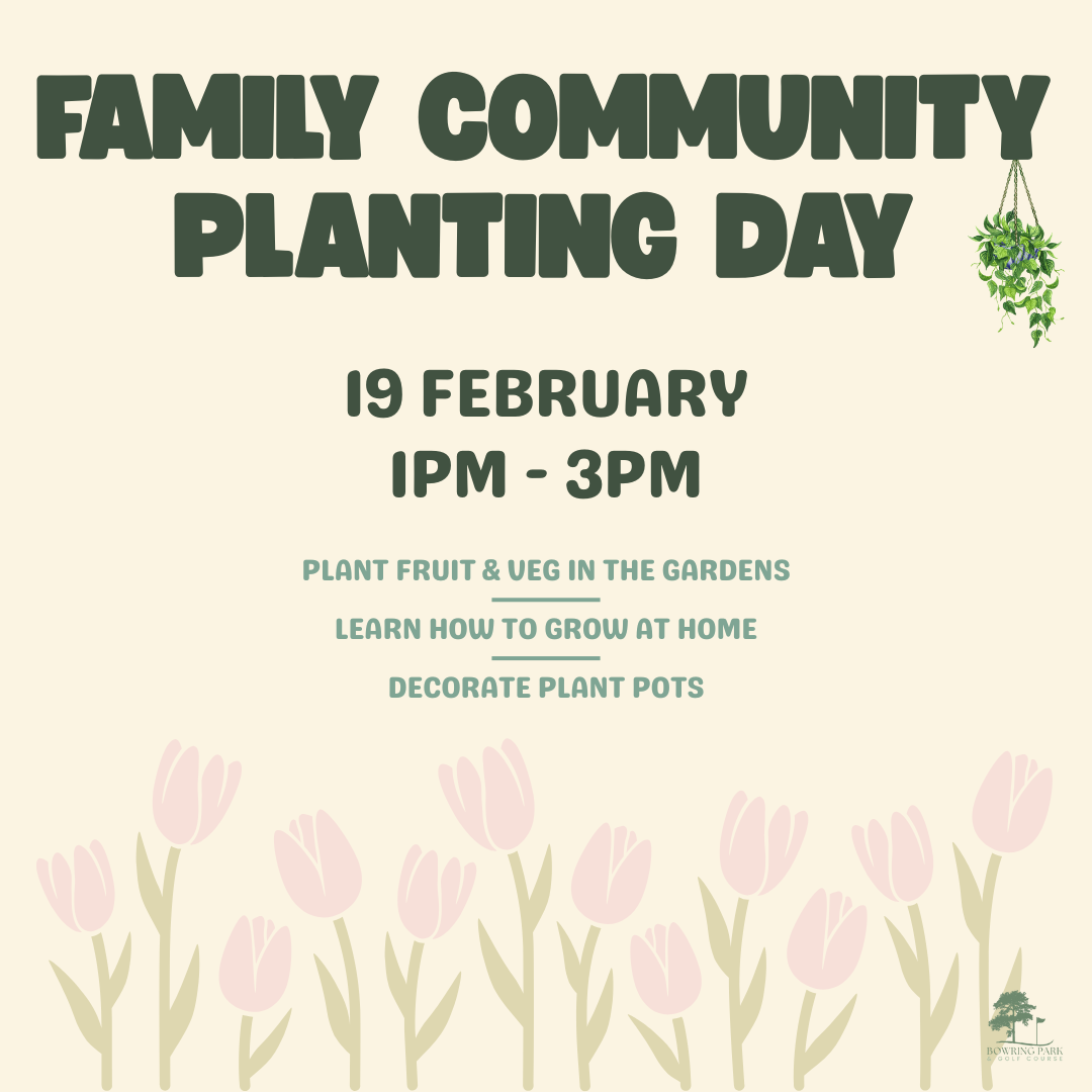 Squarespace product pages (23).png