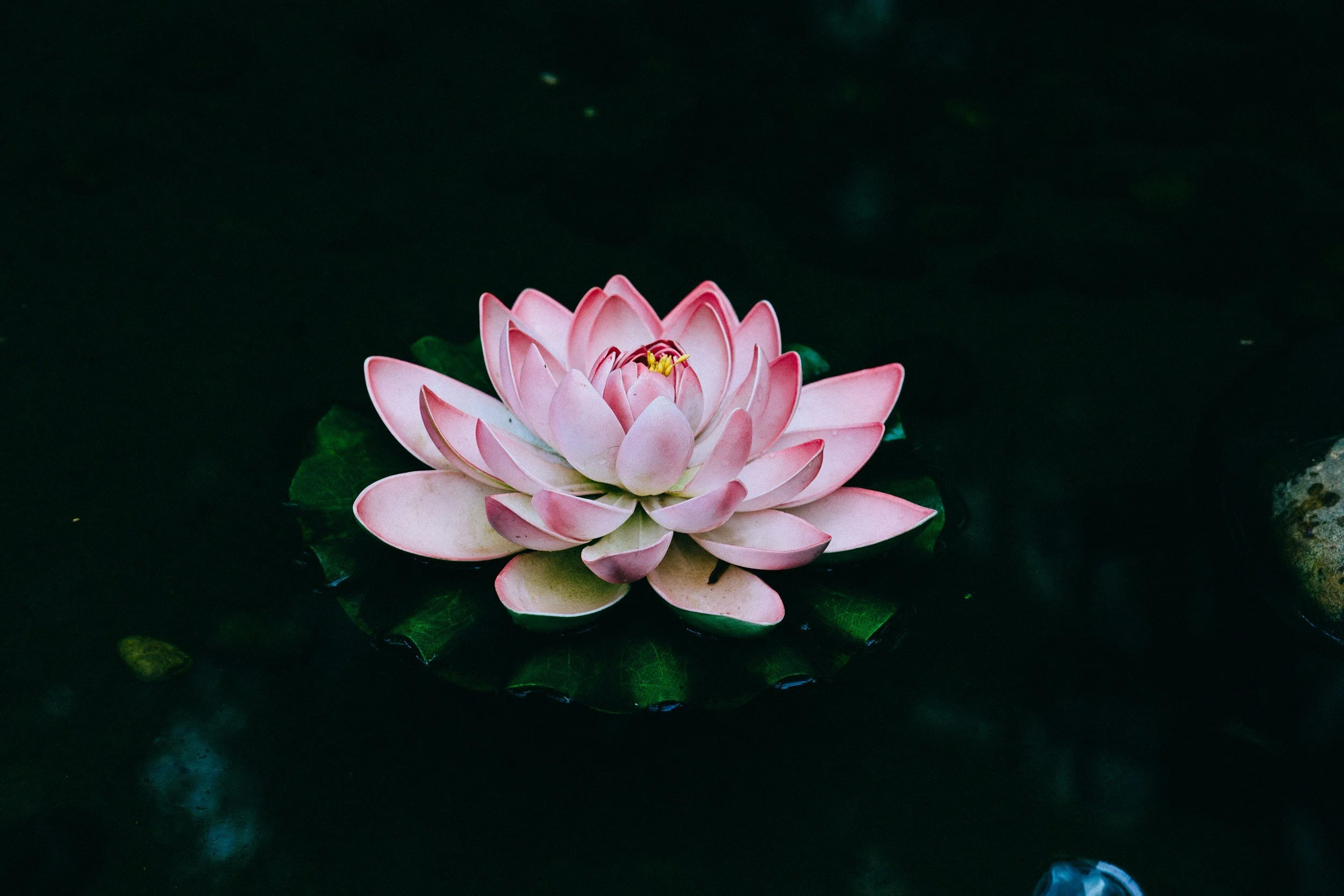 Warum ist Rückführung in frühere Leben ego-basiert?