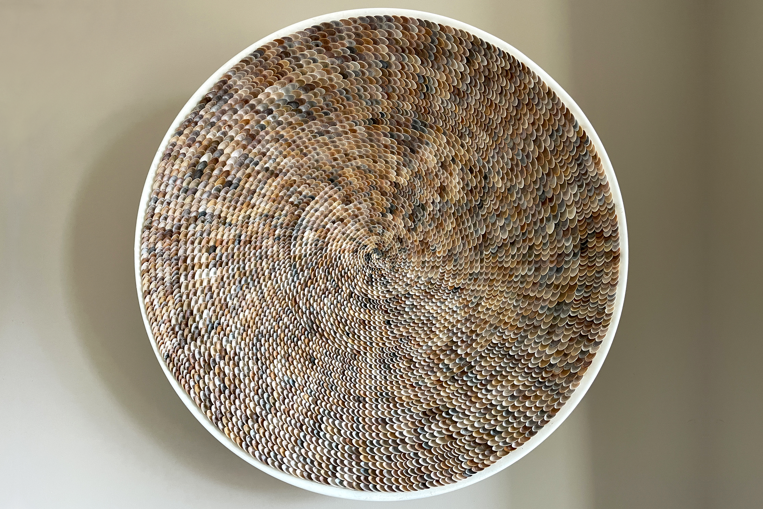 Shell art wall sculpture